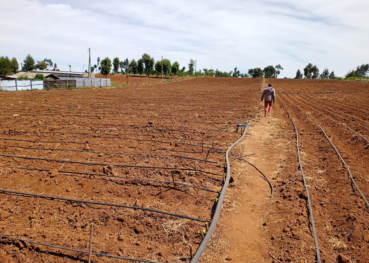 Irrigation Systems