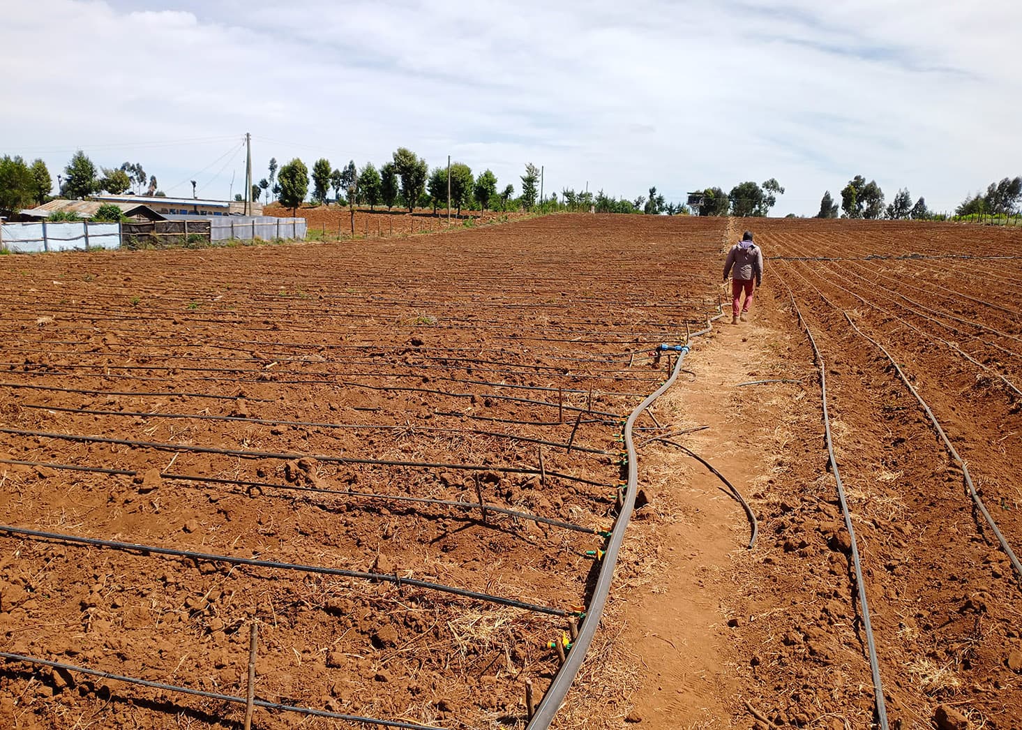 Irrigation Systems